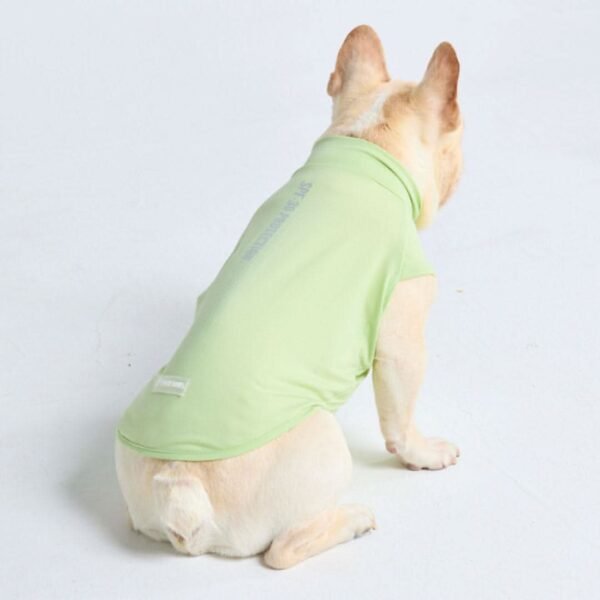 Sunblock Dog T-Shirt - Light Sage - Image 4