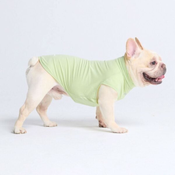 Sunblock Dog T-Shirt - Light Sage - Image 5