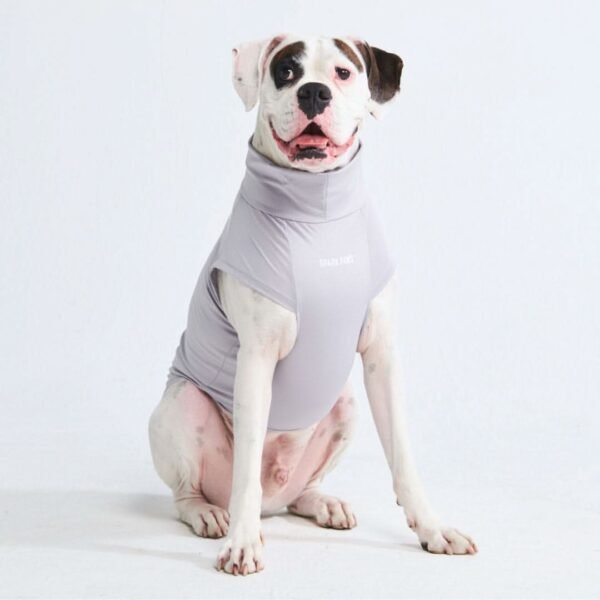 Sunblock Dog T-Shirt - Grey - Image 5