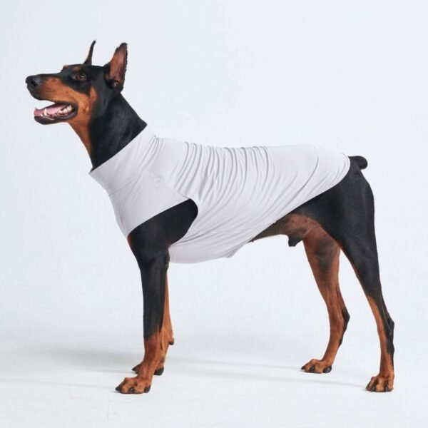 Sunblock Dog T-Shirt - Grey - Image 3