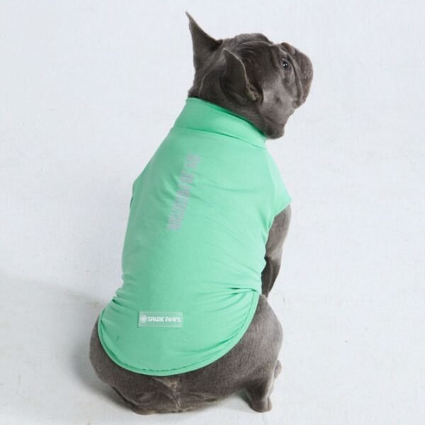 Sunblock Dog T-Shirt - Mint - Image 6