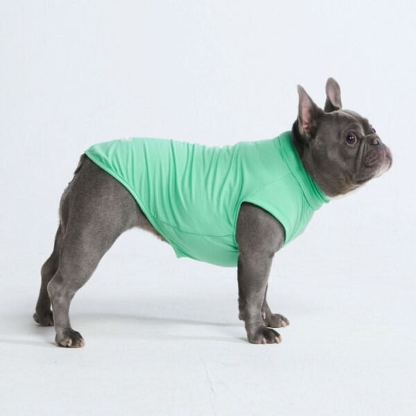 Sunblock Dog T-Shirt - Mint - Image 2