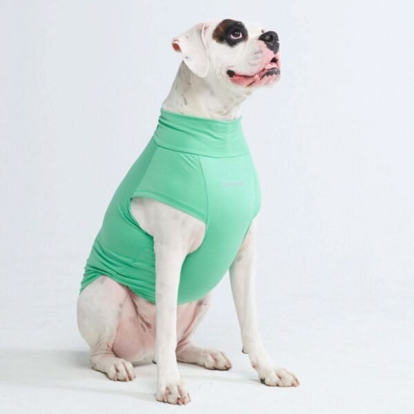 Sunblock Dog T-Shirt - Mint - Image 5
