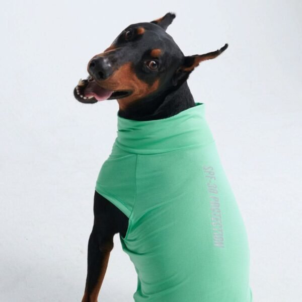 Sunblock Dog T-Shirt - Mint - Image 4