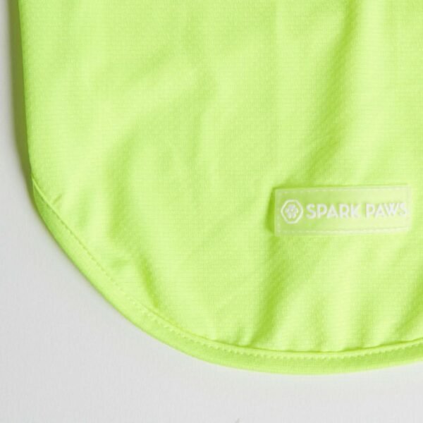 Sunblock Dog T-Shirt - Neon - Image 8