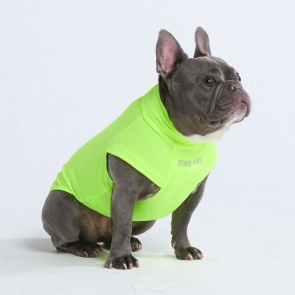 Sunblock Dog T-Shirt - Neon - Image 4