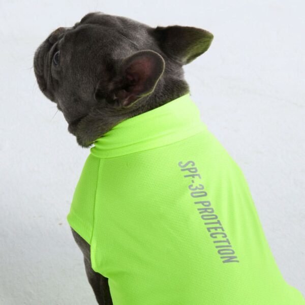 Sunblock Dog T-Shirt - Neon - Image 3