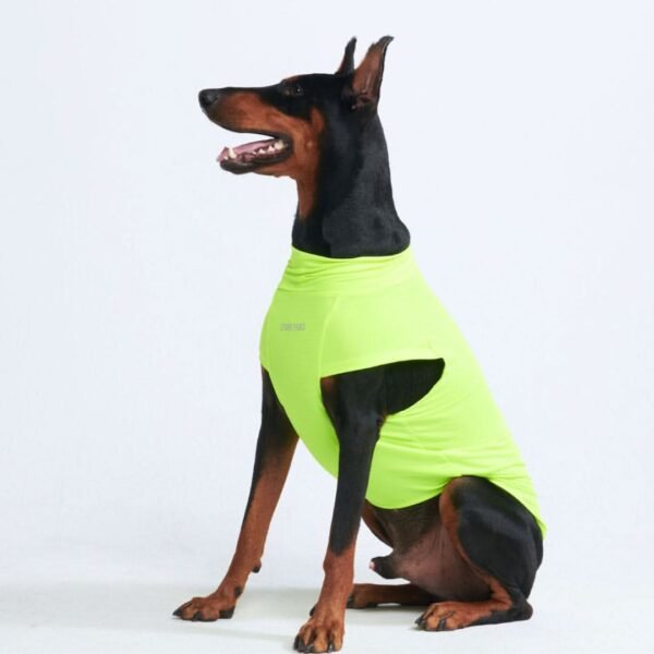 Sunblock Dog T-Shirt - Neon - Image 6