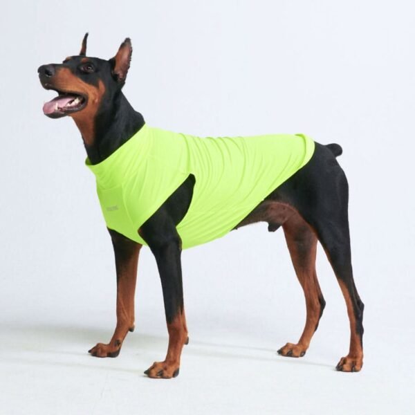 Sunblock Dog T-Shirt - Neon - Image 5