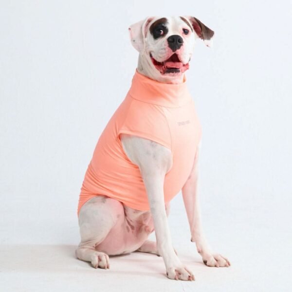 Sunblock Dog T-Shirt - Peach - Image 5