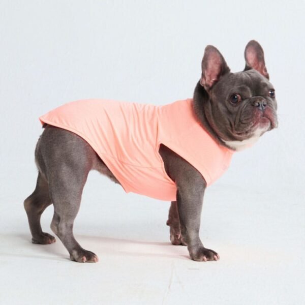 Sunblock Dog T-Shirt - Peach - Image 4