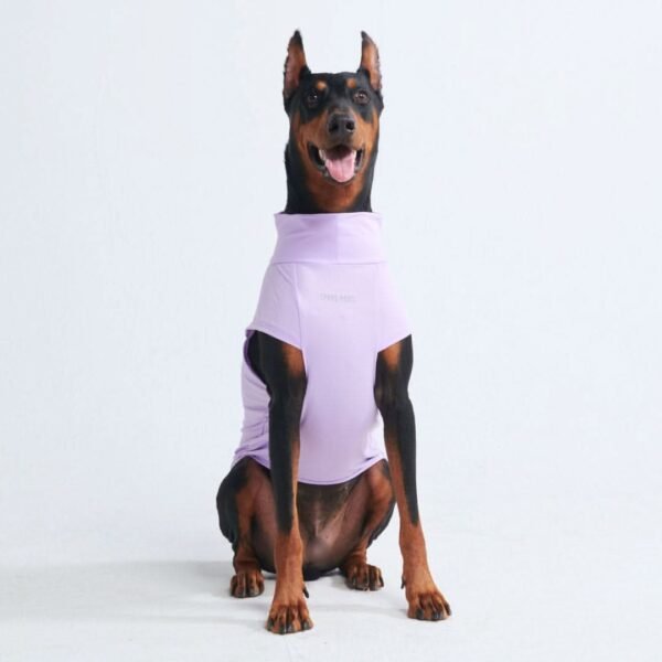 Sunblock Dog T-Shirt - Purple - Image 3