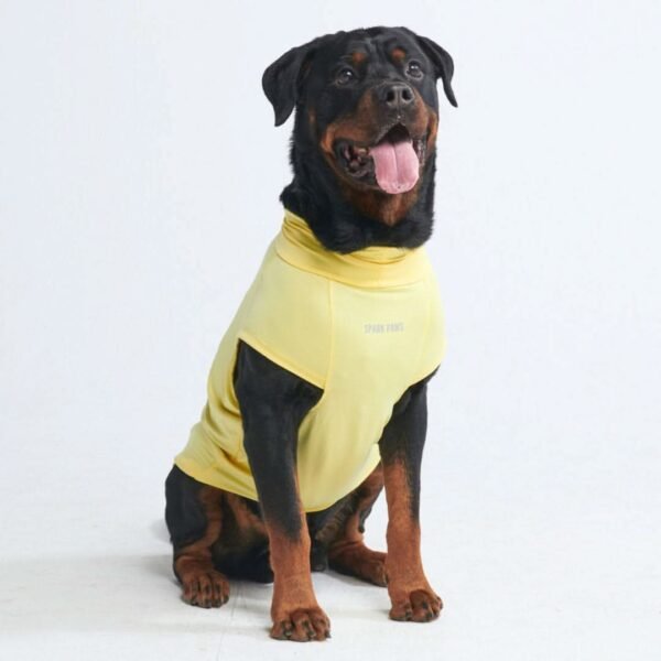 Sunblock Dog T-Shirt - Yellow - Image 2