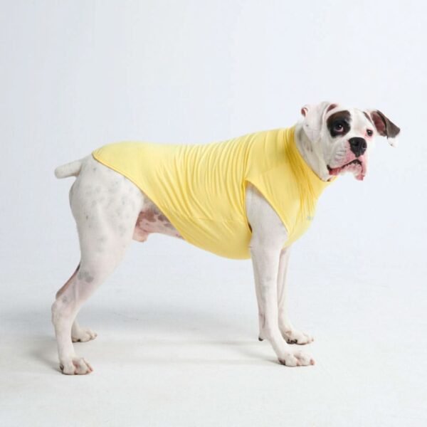 Sunblock Dog T-Shirt - Yellow - Image 4