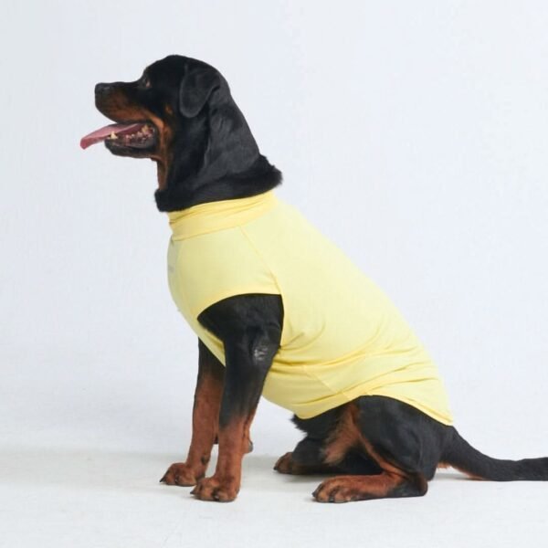 Sunblock Dog T-Shirt - Yellow - Image 6