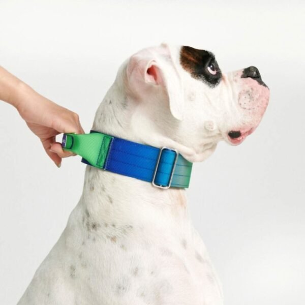 Comfort Control Collar - Lime Wave - Image 4