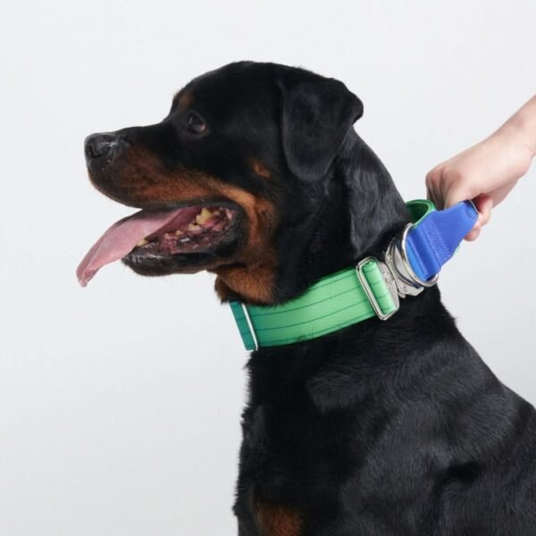 Comfort Control Collar - Lime Wave - Image 2